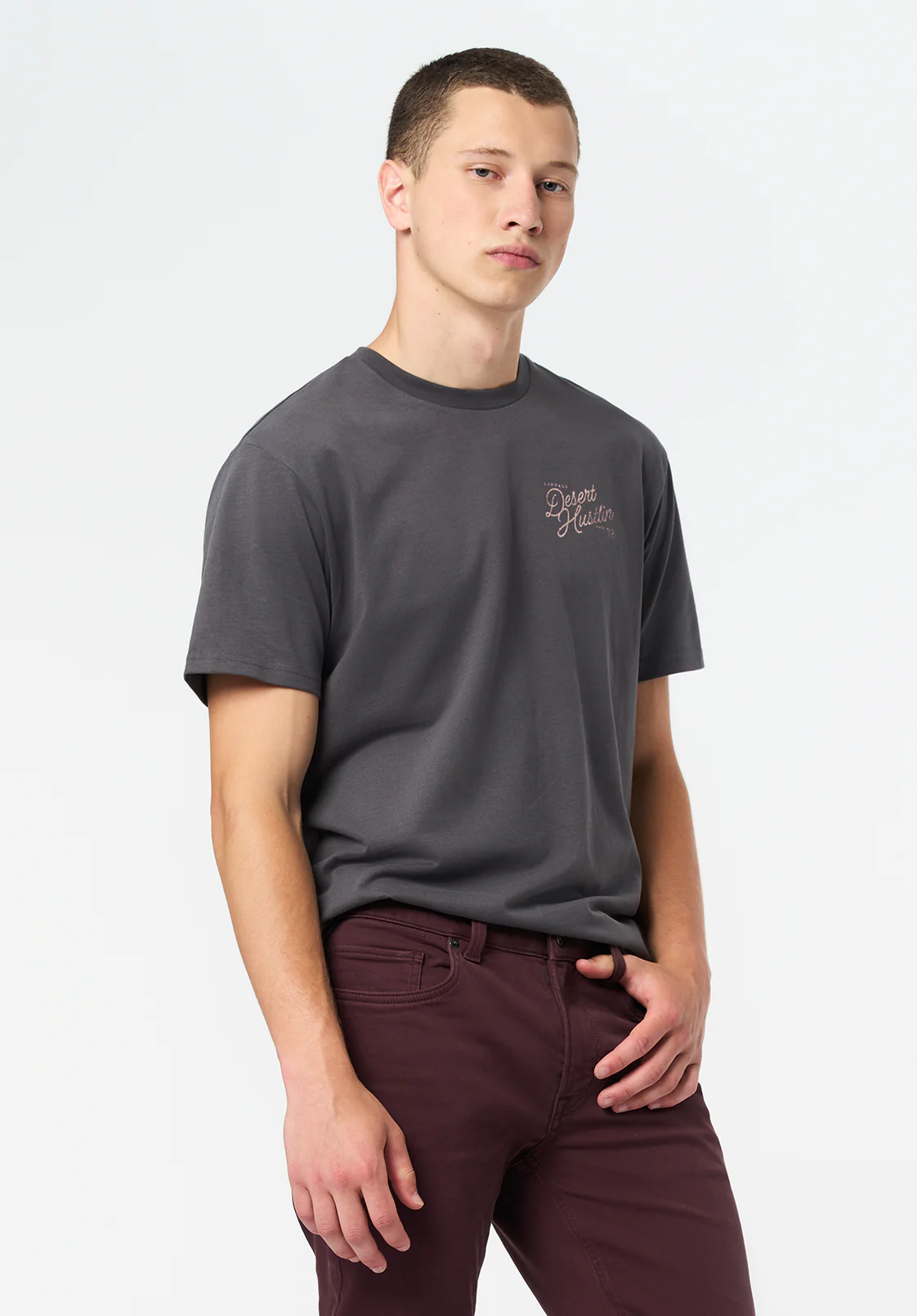 Tavian Men's Graphic T-Shirt with Desert Hustlin Print, Gray Pinstripe - BM24711 - Image 3
