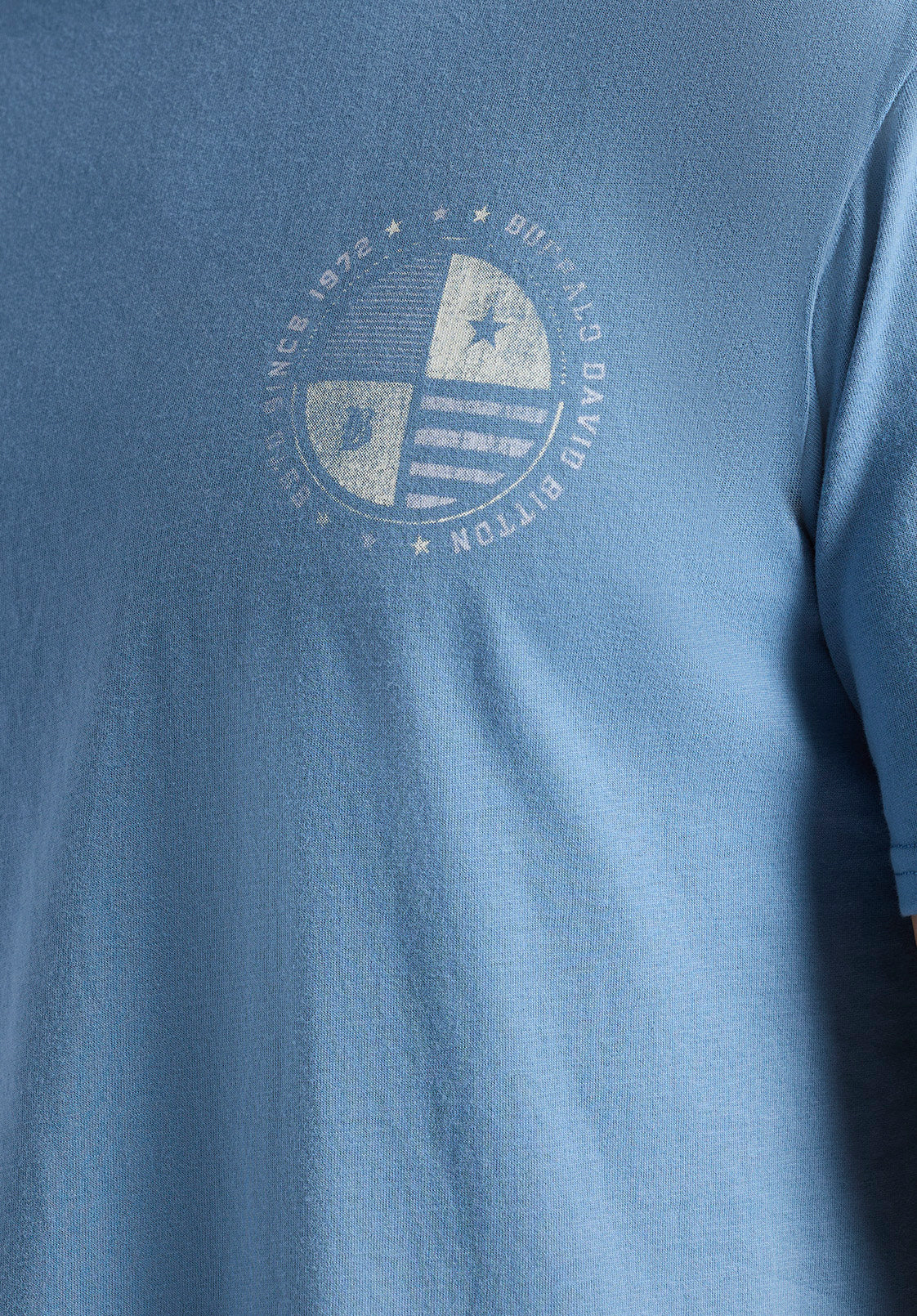 Tollose Men's Graphic T-Shirt with Heritage Print, Coronet Blue - BM24633 - Image 4