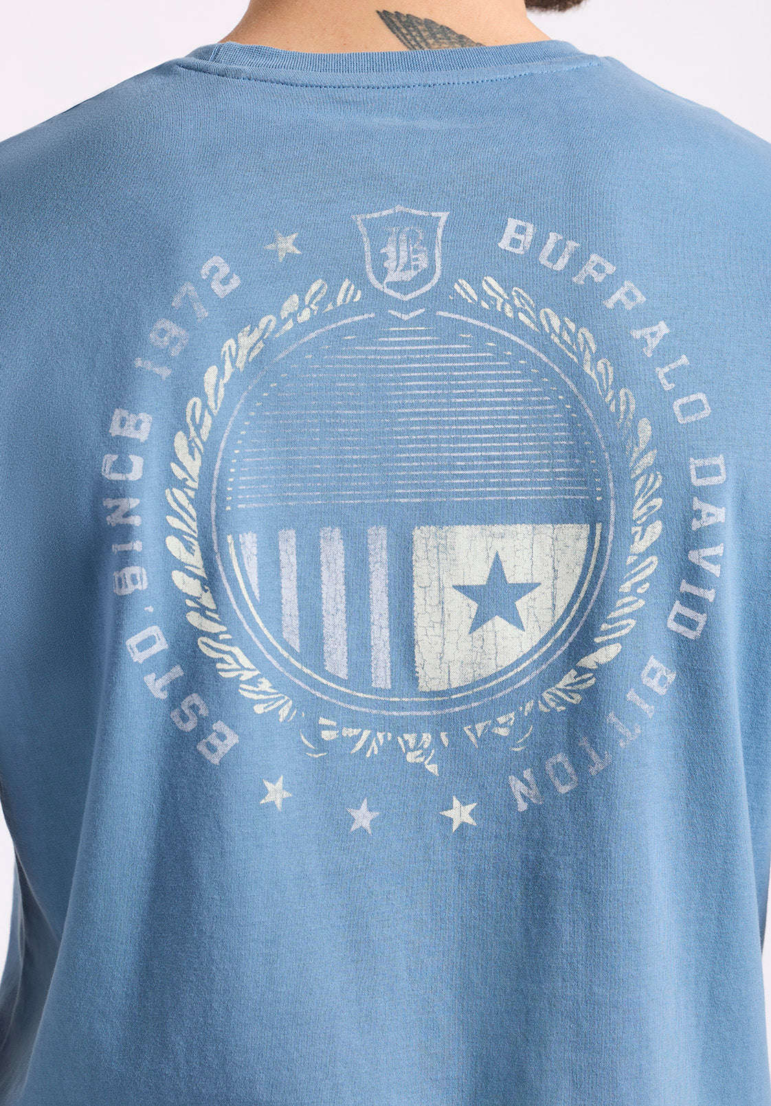 Tollose Men's Graphic T-Shirt with Heritage Print, Coronet Blue - BM24633 - Image 5