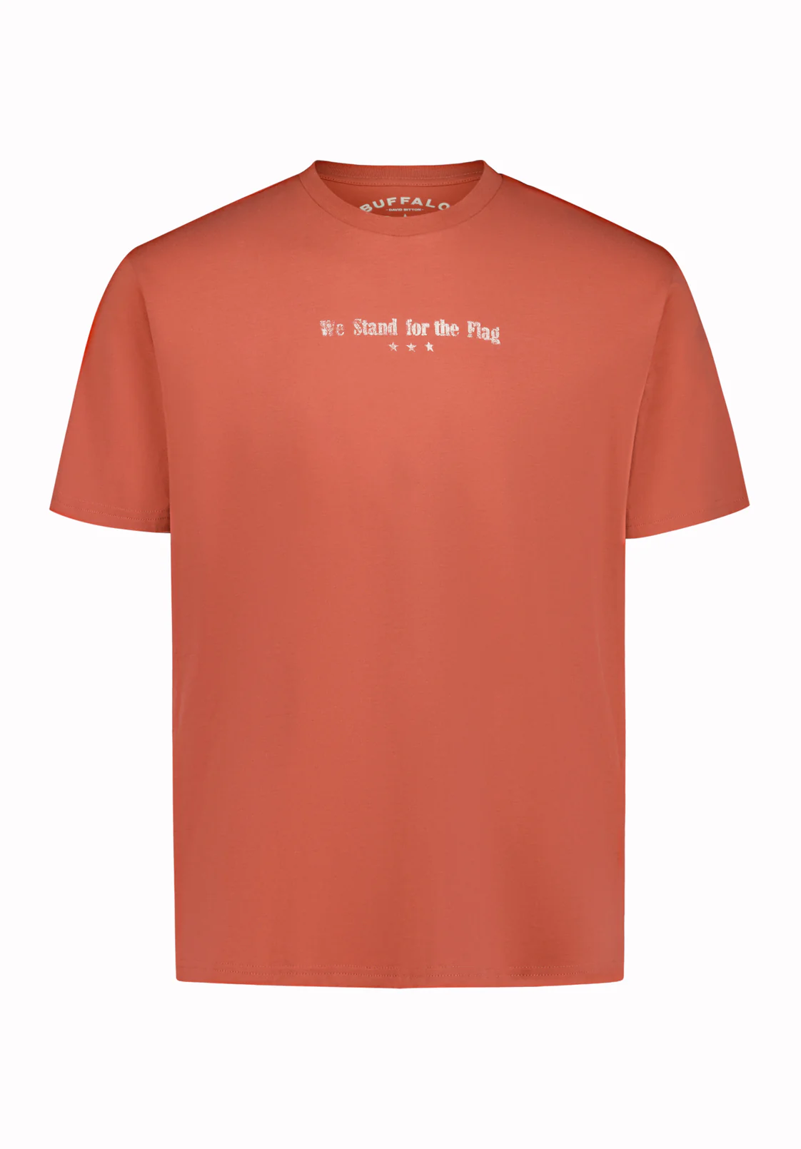 Trove Men’s Americana Graphic T-Shirt, Mineral Red - BM24866 - Image 5